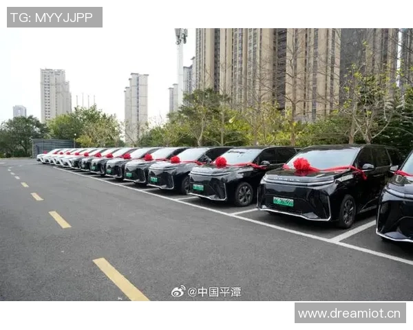 灵活选择与便捷出行：打造全新汽车租赁服务体验，满足多样化需求
